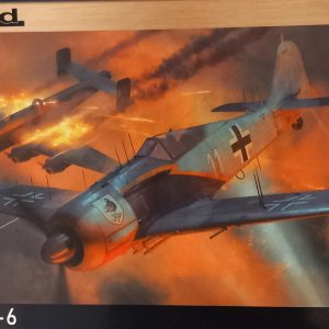 Fw 190A-6  -  Escala 1/48